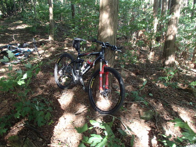 20190813_096.JPG