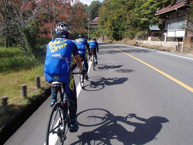 PA276223.JPG