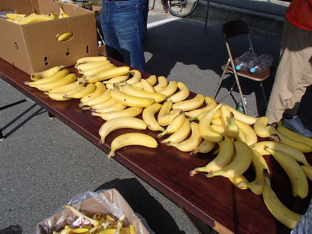 PA276241.JPG