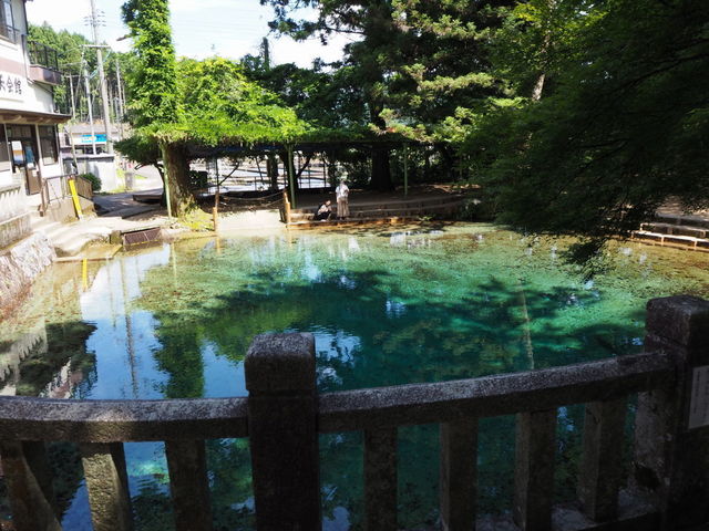 P7311475.JPG