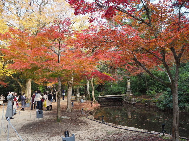 PB150140.JPG