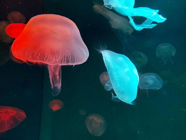 20211115_150345.JPG