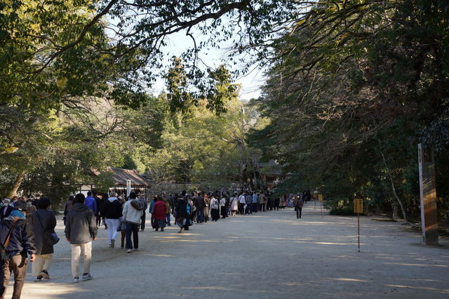 DSC01046.JPG