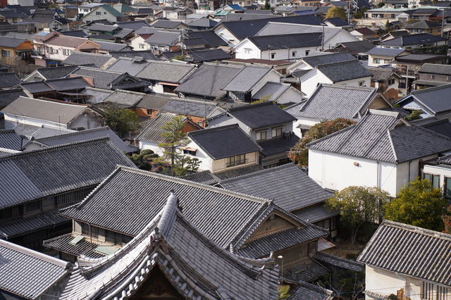 DSC01125.JPG