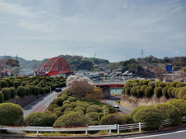 20220330_135552.JPG