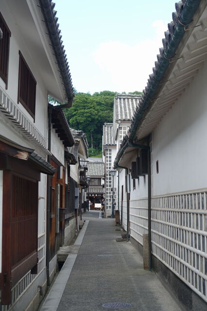 06-DSC08137.JPG