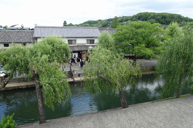 10-DSC08153.JPG