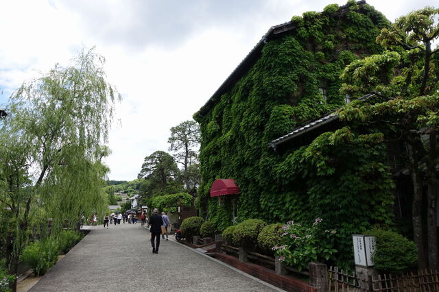 12-DSC08121.JPG