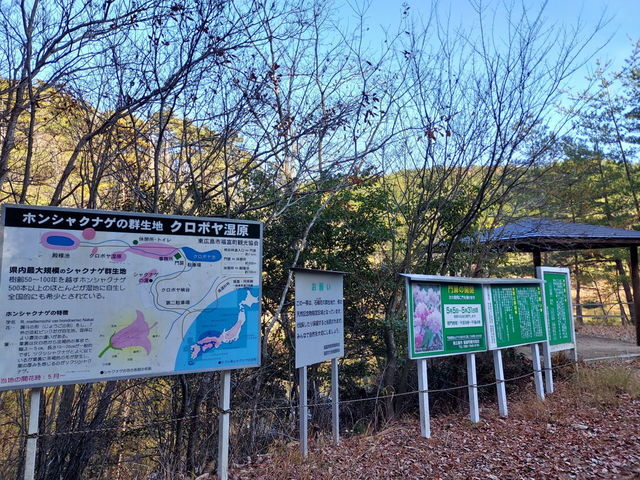 20221127_142945.JPG