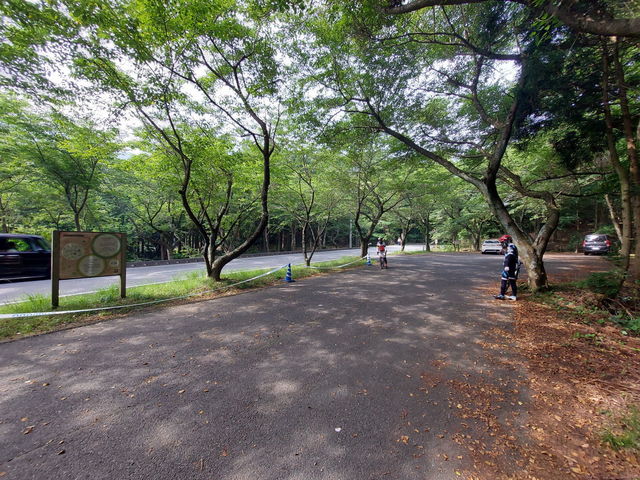 20230618_154332.JPG