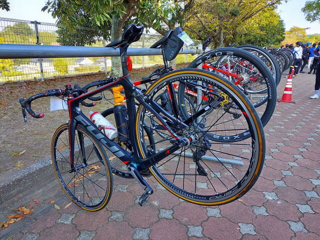 20231015_074847.JPG