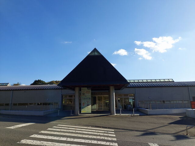 20231124_145525.JPG