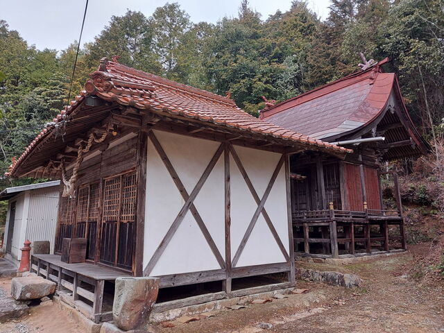 20240317_082424.JPG