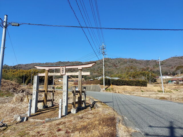 20250214_121300.JPG
