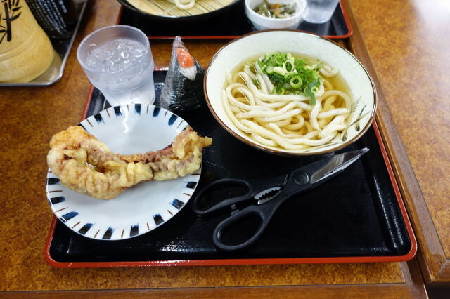 23-DSC08104.JPG