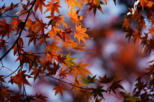 DSC01774.JPG