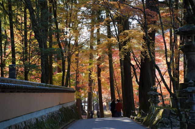DSC01781.JPG