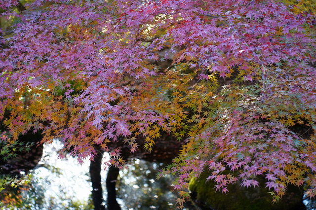 DSC01811.JPG