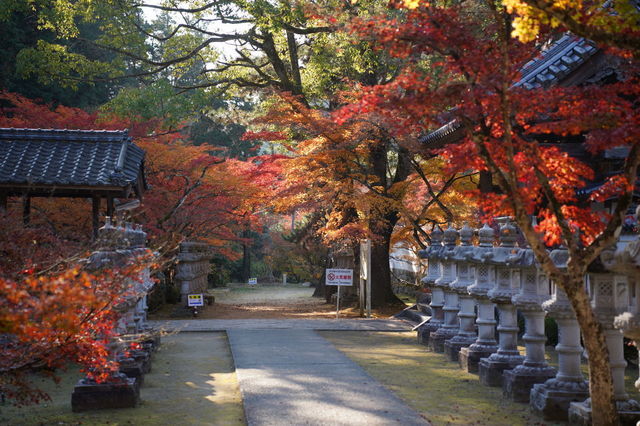 DSC01824.JPG