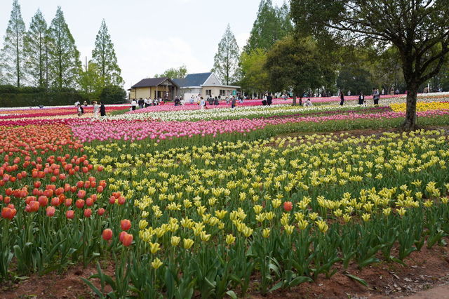 DSC06135.JPG