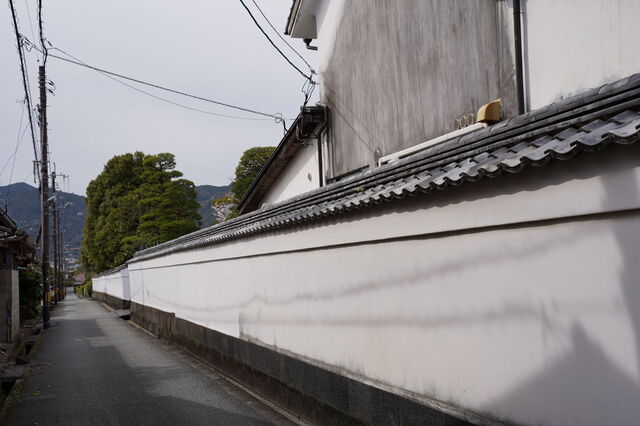 DSC06598.JPG
