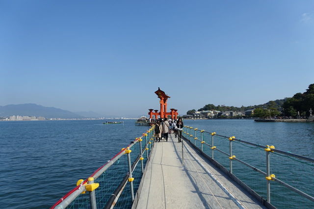 DSC06609.JPG