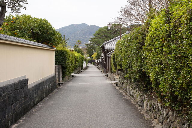 DSC06615.JPG