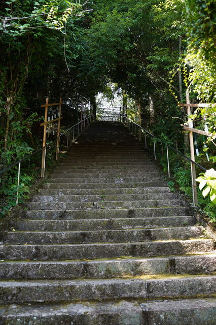 DSC06789.JPG