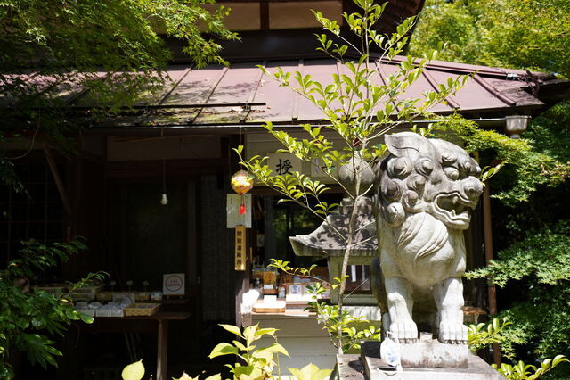 DSC06806 - コピー.JPG