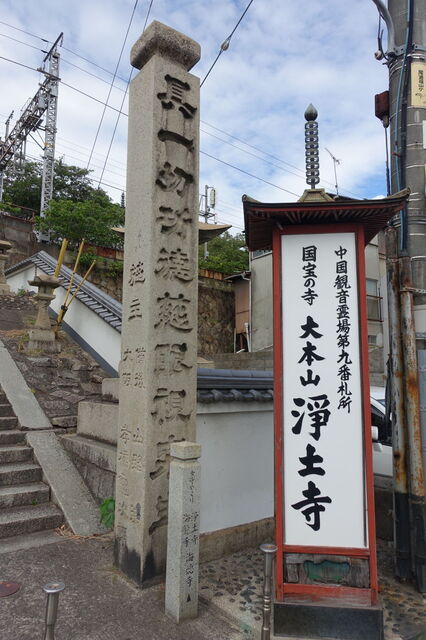 DSC08320.JPG