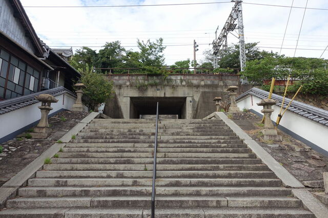 DSC08321.JPG