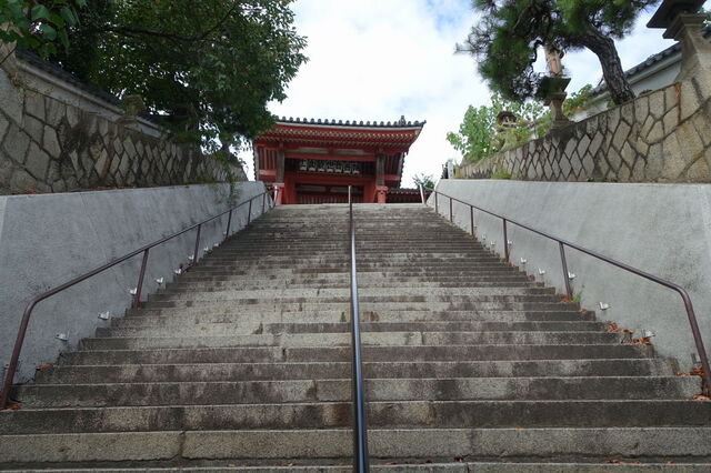 DSC08322.JPG