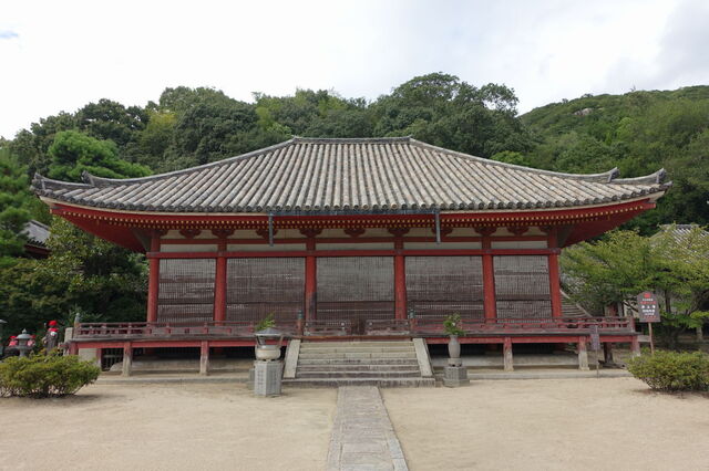 DSC08350.JPG