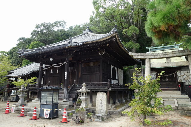 DSC08357.JPG
