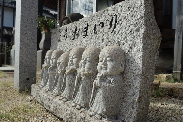 DSC08369.JPG