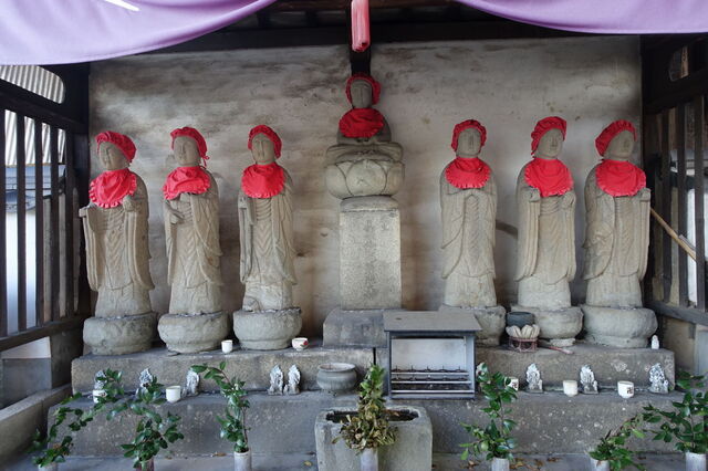 DSC08375.JPG
