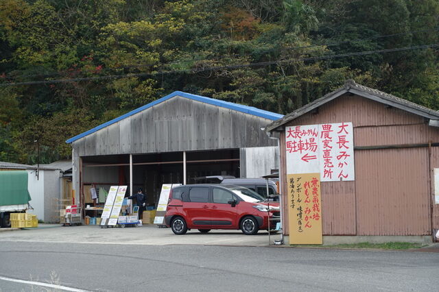 DSC08551.JPG